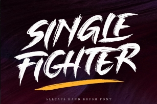 SINGLE FIGHTER / Brush Font Download
