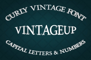 Vintage font with curls Font Download