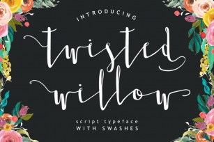 Twisted Willow Typeface Font Download