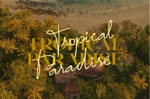 Tropical Paradise Font Download