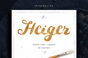 Heiger Script + Bonus Vector Font Download