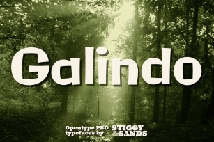 Galindo Pro Font Download