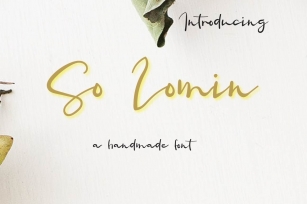 So Lomin Font Download