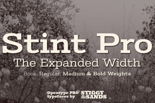 Stint Expanded Pro Family Font Download