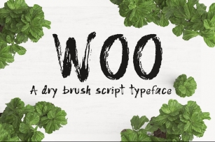 WOO Dry Brush Script Typeface Font Download