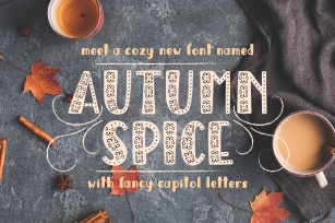 Autumn Spice Display San Serif Font Download