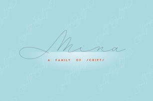 Mina Family (14 fonts) 20% off Font Download