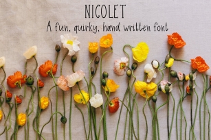 Nicolet Font Download