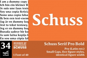 SchussSerifProBold No.34 (1) Font Download
