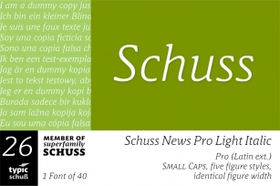 SchussNewsProLightIta No.26 (1) Font Download