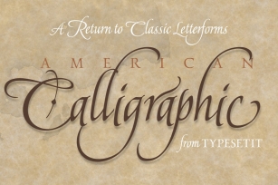 American Calligraphic 50% OFF Font Download