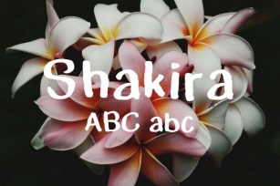 Shakira Typeface Font Download