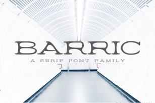 Barric A Serif Family Font Download