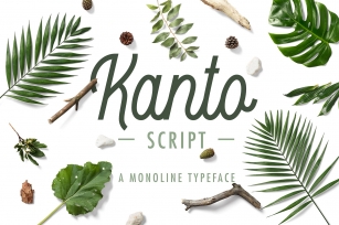 Kanto Script Font Download