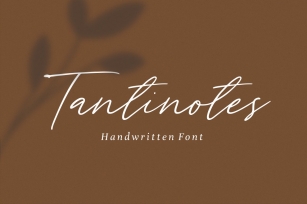 Tantinotes Font Download