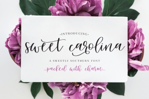 Sweet Carolina Font Download