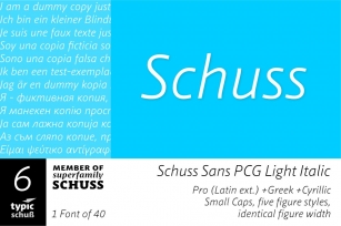 SchussSansPCGLightIta No.06 (1) Font Download