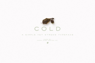 Cold Font Download
