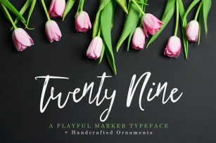 Twenty Nine + Bonus Font Download