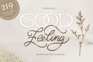 Good Feeling. Modern DUO. Font Download