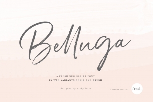 Belluga Brush Rough  Smooth Font Download
