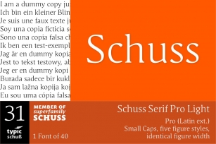 SchussSerifProLight No.31 (1) Font Download