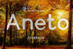 Aneto Typeface Font Download