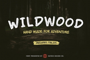 Wildwood Dry Brush Lettering Font Download