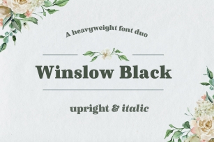 Winslow Book Black Font Download