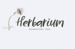 Herbarium font + EXTRAS Font Download