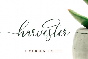 Harvester Font Download