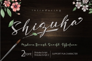Shizuka Brush Script Font Download