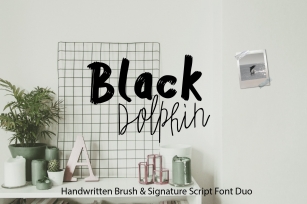 Black Dolphin Script  Sans Duo Font Download