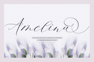 Amelina Script New Update Duo Font Download
