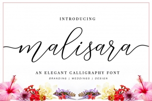 Malisara Script Font Download