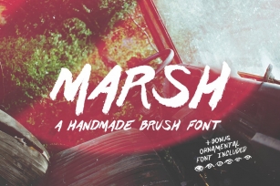 Marsh Hand Drawn Brush + Bonus Font Download
