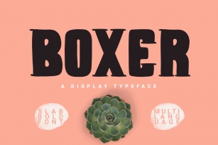 Boxer Typeface Font Download