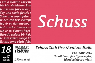 SchussSlabProMedIta No.18 (1) Font Download