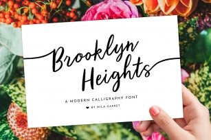 Calligraphy Script Brooklyn Heights Font Download