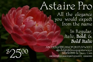 The Astaire Family Font Download