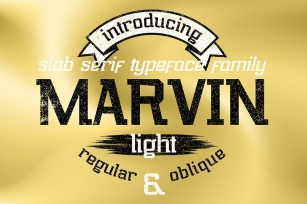Marvin Light Font Download