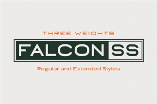 Falcon SS // 3 Weights 2 Styles Font Download