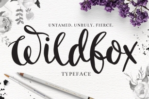 "Wildfox" Typeface-Hand drawn font Font Download