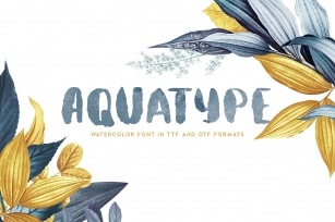 Aquatype. Display Watercolor font. Font Download