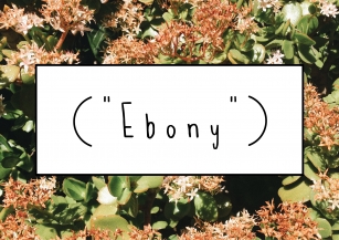EBONY Font Download