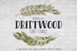 Driftwood Family Font Download