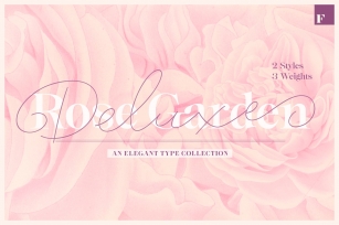 Rose Garden Deluxe Bundle Font Download