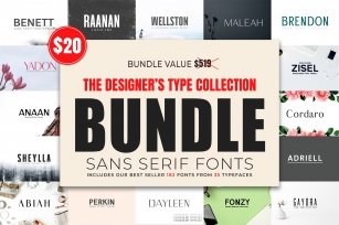 Designer's Type Font Download