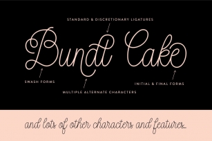 Bundt Cake Script Font Download