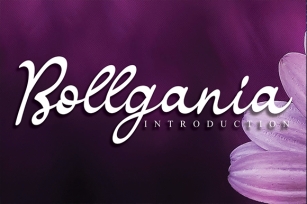 Bollgania Font Download